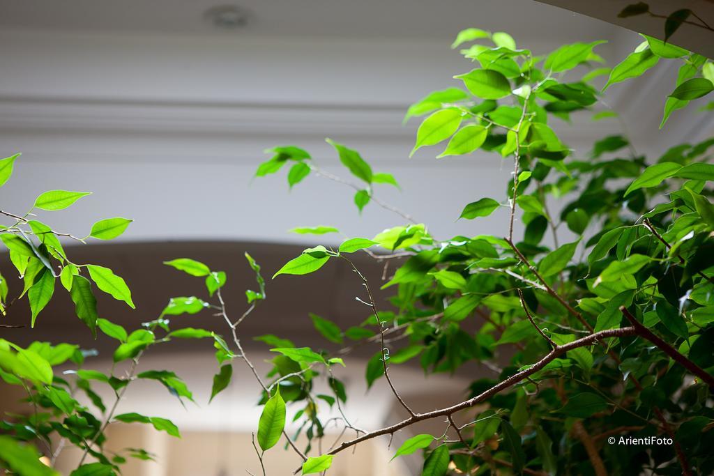 Albergo Del Lago 까팔비오 외부 사진